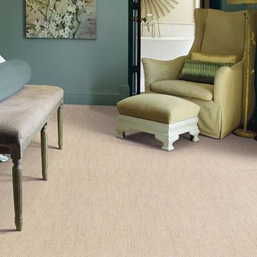 Caress Carpet by Shaw | Medford, MA